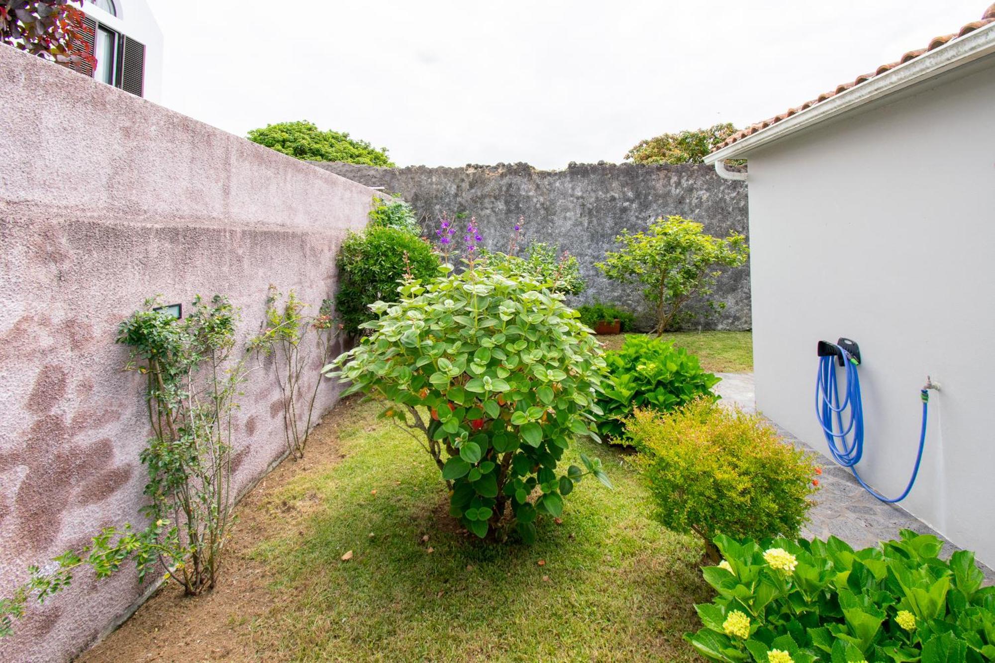 Atlantic Sao Paulo - Nature In The City Ponta Delgada المظهر الخارجي الصورة